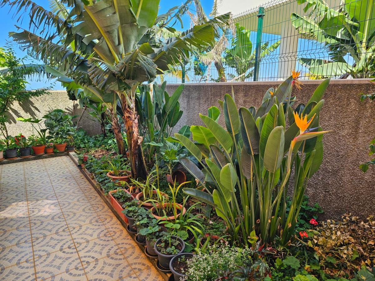 Vila Casa De Feria Do Livramento Funchal  Exteriér fotografie